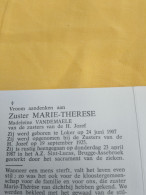 Doodsprentje Madeleine Vandemaele / Loker 24/6/1907 Assebroek 23/4/1987 ( Zuster Marie Therese / Zuster V. H. Jozef ) - Godsdienst & Esoterisme