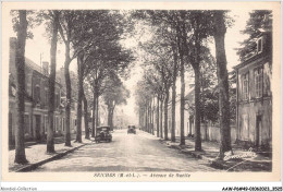 AAWP6-49-0548 - SEICHES - Avenue De Suette - Seiches Sur Le Loir