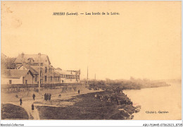 ABUP11-45-1034 - JARGEAU - Les Bords De La Loire - Jargeau