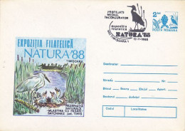 ANIMALS, BIRDS, LITTLE EGRET, COVER STATIONERY, 1988, ROMANIA - Ooievaars
