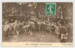 71.LOUHANS.UN JOUR DE FOIRE.CORNE - Louhans