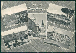 Campobasso Città Saluti Da FG Cartolina KF2014 - Campobasso