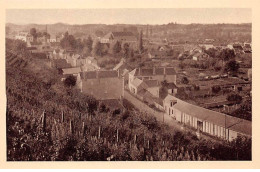 72.AM18951.Chateau Du Loir.Vue Générale - Chateau Du Loir