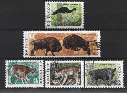 Russia CCCP 1964 Fauna Y.T. 3528/3532 (0) - Used Stamps