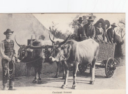 SIENA-COSTUMI SENESI-CARTOLINA NON VIAGGIATA 1915-1925 - Siena