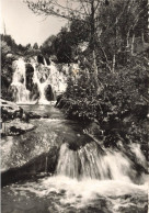 FRANCE - Langogne - Les Cascades Du Ruisseau De Pradelles - Carte Postale - Langogne