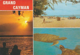 GRAND CAYMAN - Seven Mile Beach   - Used  Postcard - Animals - CENA - Otros & Sin Clasificación