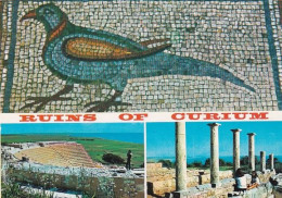 CYPRUS  -  Ruins Of Curium Multiview  - Unused  Postcard - M1 - Cipro