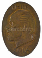 Beck Ö. Fülöp (1873-1945) DN "Emile Zola" Bronz Lemezplakett Hátoldalán Pántokkal (57x40mm) T:XF - Unclassified