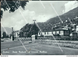 Ci426 Cartolina Sondrio Citta' Ponte Matteotti Sul Torrente Mallero - Sondrio