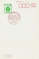 NIPPON 20 -     55.10.6 - Postcards