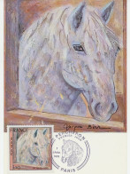 Maximum Card France 1978 Horse - Ippica