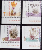 North Macedonia 1999, Flowers, MNH Stamps Set - Nordmazedonien