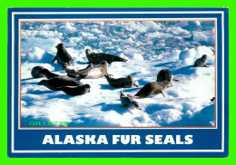 ANCHORAGE, AK - ALASKA FUR SEALS - ARCTIC CIRCLE ENTERPRISES - - Anchorage
