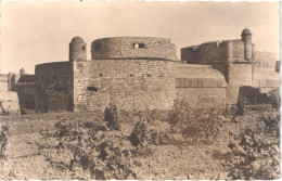 FR66 SALSES SALCES - Carte Photo - Château De SALCES - Vignes - Belle - Salses