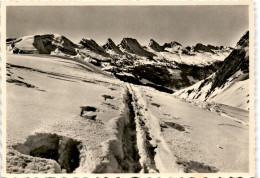 Skigebiet Obertoggenburg - Die Churfirsten (557) * 7. 2. 1959 - Wildhaus-Alt Sankt Johann