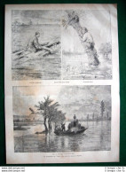 Inondazioni Nel Veneto Nel 1882 - Barca Di Salvataggio Aarrotino Arrigobello - Vor 1900