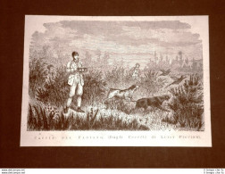 La Caccia Del Fagiano In Italia Nel 1877 Cacciatore E Cane - Vor 1900