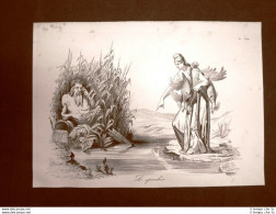 Incisione D'allegoria E Satira L'Italia Si Specchia Nel Tevere Don Pirlone 1851 - Vor 1900