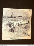 Telegrafo Immersione Di Un Cavo Telegrafico Sottomarino - Antes 1900