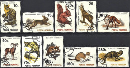 Romania 1993 - Mi 4901/10 - YT 4094/4103 ( Wild Fauna ) Complete Set - Used Stamps