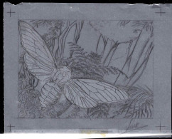 NEW CALEDONIA(1997) Cicada (Kanakia Gigas). Preliminary Artwork, Pencil On Tracing Paper Measuring 18.5 X 14 Cm, Signed - Geschnittene, Druckproben Und Abarten