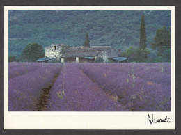 094146/ ALESSANDRI, *Provence, Le Mas Parfumé* - Altri & Non Classificati