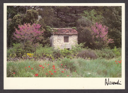 094143/ ALESSANDRI, *Provence, Le Cabanon Fleuri, Saint-Hippolyte-le-Graveyron* - Altri & Non Classificati