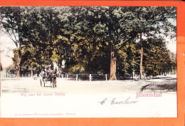 05949 / BLOMENDAAL Noord-Holland Weg Naar Het Nieuwe Station 1900s-Editeur J.H SCHAEFER 81 Nederland Pays-Bas - Bloemendaal