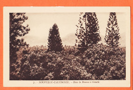 05660 ● ● Rare CANALA Nouvelle-Calédonie Dans La Brousse 1930s E.B 7 - Nueva Caledonia
