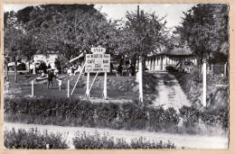 05520 / ⭐ ◉  TANCARVILLE-HAUT Au RELAIS Du PONT Café-Bar Propriétaire Robert DUTOT 1950s Photo Studio PICARD St-Romain - Tancarville