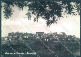 Terni Lugnano In Teverina Foto FG Cartolina JK1885 - Terni