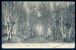 Cpa Du 22  Plancoët , Sous Bois - Parc De La Caunelaye   MAI24-13 - Plancoët