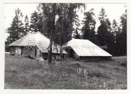 Nevaišių Kaimas, Ignalina, 1985 M. Fotografija. Dydis - 11,8x8,4 Cm. - Litauen