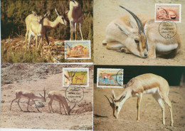 Libyen 1987 WWF Naturschutz Dünengazelle 1753/56 Maximumkarten (X30716) - Libyen