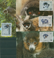 Komoren 1987 WWF Naturschutz Mongozmaki 792/95 Maximumkarten (X30705) - Comores (1975-...)