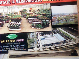 MANTOVA VALLE DEI FIORI FLORICOLTURA ORLANDELLI N1997 JW6760 - Mantova