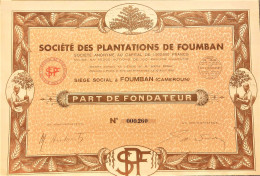 S.A. Société Des Plantations  De Foumban (1930) Cameroun - Deco ! - Agriculture