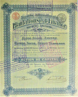 S.A. Société Internationale De Plantations Et De Finance - Act.de Cap. (1929) - Agriculture