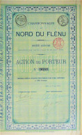 Charbonnages Du Nord Du Flénu - Act.au Porteur (1873 !!) -Gblin - Bergbau