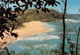 CPSM GUADELOUPE / PLAGE DE L ANSE LABORDE 1981 - Autres & Non Classés