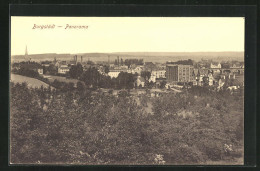 AK Burgstädt, Panorama  - Burgstaedt