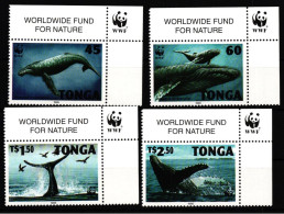 Tonga 1400-1403 Postfrisch Wale #JV467 - Marine Life