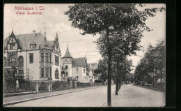 AK Mühlhausen I. Th., Oberer Lindenbühl Mit Villen  - Mühlhausen