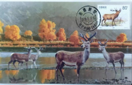 China-Russia Joint Issue 1999 Deer MC - Emissioni Congiunte