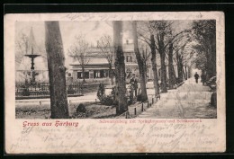 AK Harburg, Schwarzenberg Mit Springbrunnen Und Schützenpark  - Harburg