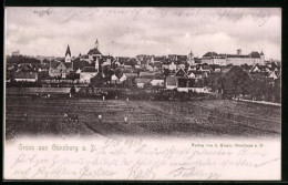 AK Günzburg A. D., Stadtansicht Im Sommer  - Guenzburg