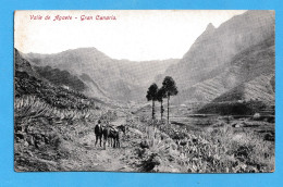 1657 SPAIN ESPAÑA ISLAS CANARIAS GRAN CANARIA VALLE DE AGAETE RARE POSTCARD - Gran Canaria