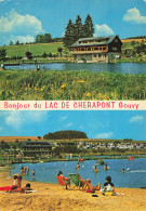 CPSM Gouvy - Un Bonjour Du Lac De Cherapont-RARE   L3018 - Gouvy