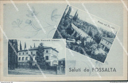 Cn191 Cartolina Saluti Da Fossalta Provincia Di Modena Emilia Romagna - Modena